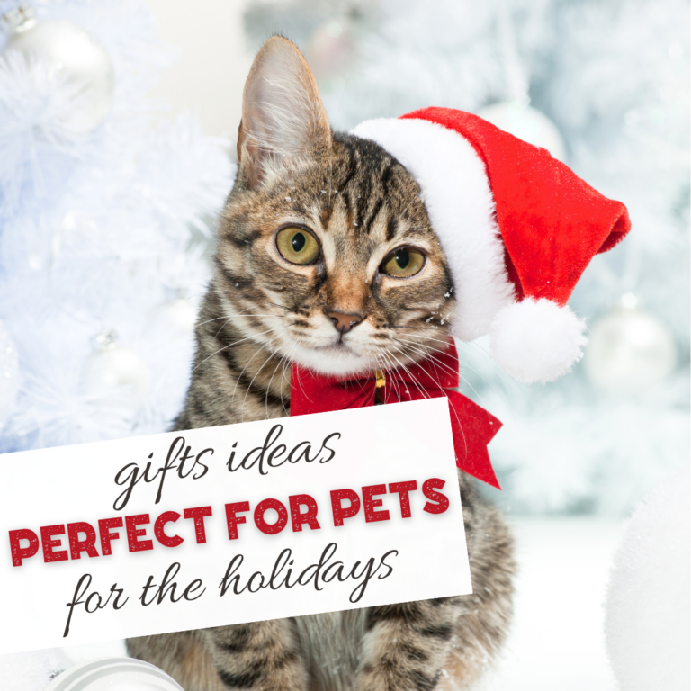 Perfect Pet Gifts {Holiday Gift Guide}