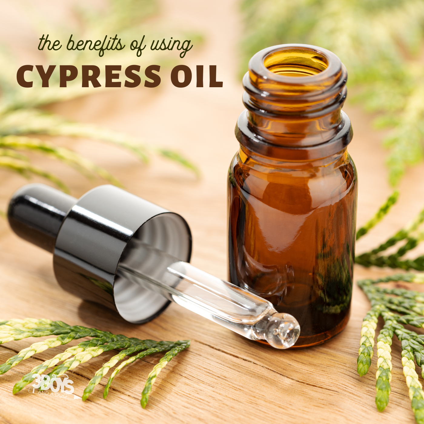 Benefits of Cypress Essential Oil